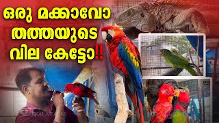 ഒരു സാധാരണ pet ഷോപ്പിൽ നിന്നും ഇത്രയും വരുമാനം ഉണ്ടാക്കാമോ ?