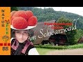 Vogtsbauernhof / Freilichtmuseum/ Gutach/ Schwarzwald/ Wildpflanzen und bunte Blumenkränze