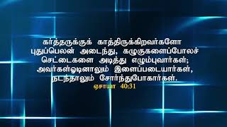 நீங்கள் ஓடினாலும் இளைப்படைய மாட்டீர்கள்,  நடந்தாலும் சோர்வடைய மாட்டீர்கள்!