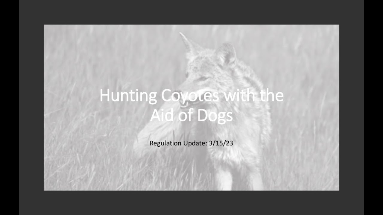 Audio Recording Of Presentation To Vermont Fish & Wildlife Board ...