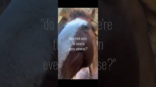 every universe #horse #soundhorse #horseenthusiast #horsehaven #equestrian #horsewhisperer