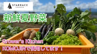 自社畑で育った夏野菜はスタラス小諸のレストランで、ピザやサラダなどに使用しています！