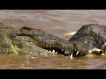 postosuchus land hunting prehistoric crocodile explained in 2 minutes