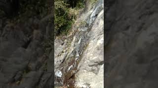 #BhagsuNag #WaterFall #Himachal #BhagsuTemple #Divine #Pure #water