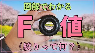 【初心者OK】図解でわかるカメラのF値（絞り値）の基本と使い方。