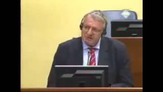 Vojislav Seselj anegdote iz Haga