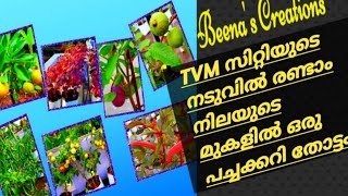 തിരുവനന്തപുരം സിറ്റിയുടെ നടുക്ക് ടെറസ്സിൽ ഒരു പച്ചക്കറിതോട്ടം.