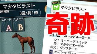 【ダビマス】オーバーザリミッツ乱れ撃ち！奇跡のヒキが！