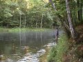 mörrum 95 cm. seatrout fight september 2010