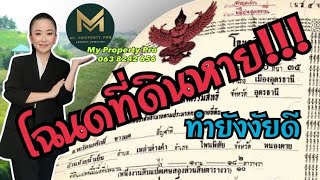 โฉนดที่ดินหาย ทำยังงัยดี ขั้นตอนการขอโฉนดใหม่  |  Koy My Property Pro