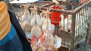 দ্রুত মুর্গি কাটিনের এক্সক্লুসিভ ভিডিও | Amazing fast chicken cutting skills |