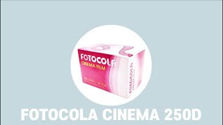 FOTOCOLA 35mm 영화용 컬러필름 코닥비전3 베이스 +NIKON 28Ti로 영화용 필름 250D를 찍어보았습니다.