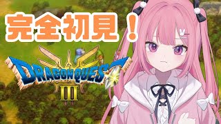 【 ドラゴンクエストIII そして伝説へ…】完全初見!!!!! 大魔王を絶対に倒す!!!＃１８ ※ネタバレあり【 兎月ちぃ / ふぁにーかむ 】