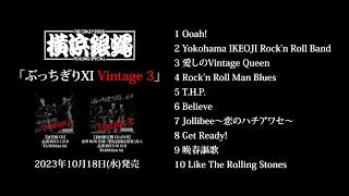 T.C.R.横浜銀蝿R.S.「ぶっちぎりXI Vintage 3 」アルバム全曲紹介