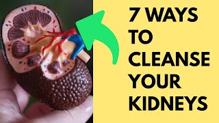 How to Detox and Cleanse Your Kidneys Naturally
