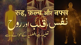 Nafs, Qalb aur Rooh | Talimat e Afzaliya Hawale Se | By Meraj Afzaly