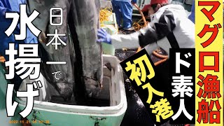 漁師歴ゼロのド素人がマグロ漁船で初入港〜日本一で水揚げ！18日ぶりの丘で酔う【漁師への道#4】