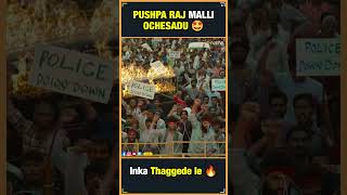 Pushpa 2 The Rule : Taggedhele | Allu Arjun, Rashmika | Sukumar | Fahadh Faasil | Thyview Shorts