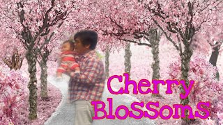 Cherry Blossom 🇵🇭🇯🇵#sakura#short video