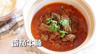 番茄牛腩 汤汁浓郁 步骤简单 Beef Stew with Tomatoes | Instant Pot