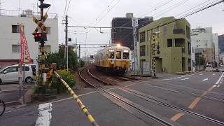 「ことでん」松生踏切にて（１１月２７日）