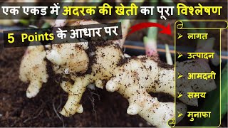 एक एकड़ अदरक की खेती में लागत, आमदनी और प्रॉफिट की पूरी जानकारी | Ginger Farming In India