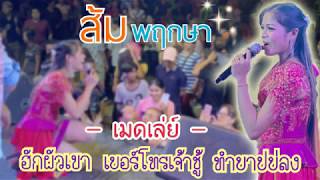 เมดเล่ย์ ฮักผัวเขา,เบอร์โทรเจ้าชู้,ทำบาปบ่ลง - ส้ม พฤกษา l Cover แสดงสด