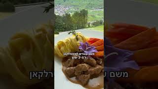 רגע לפני שנכנס ללבנון לחודשיים מילואים, ארז דגן טייל 9 ימים בשוויץ וסיקר לנו את כל המקומות השווים