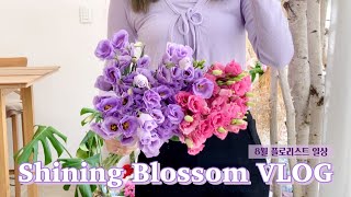 ENG)Florist VLOG: August Florist Daily VLOG | Bouquet Wrapping | Silkflowers | Colonoscopy