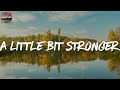 A Little Bit Stronger - Sara Evans (Lyric Video)