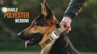 Mighty Paw Tactical Dog Collar