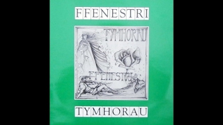 Ffenestri - Dyled I'th Garu (ai dim ond imi?)