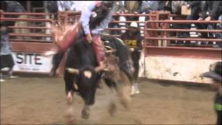 Billy West 83.5 on Thompson Rodeo's Fortune 500. 2013 #BRCFINALS