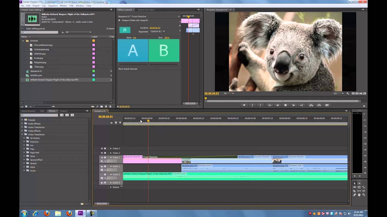 Adobe Premiere Pro Cs6 Download Full Version Neatter