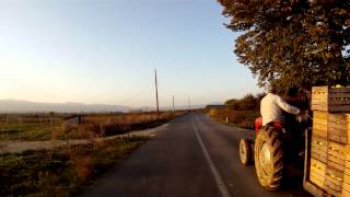 Restoring the Ecosystem of Lake Prespa (short version)