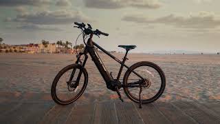 Spike Ebike lites