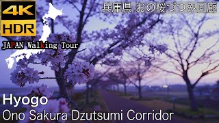 [4K HDR] Ono Sakura Dzutsumi Corridor  Part1| おの桜づつみ回廊