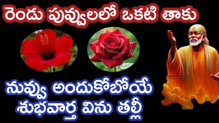 ఈ రెండు పువ్వులలో ఒకటి తాకి విను బిడ్డా అదృష్టం ఉంటేనే వినగలవు|saibaba motivational advice @saianugr