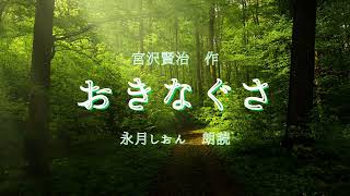 【朗読】宮沢賢治「おきなぐさ」作業用BGMや睡眠導入にも