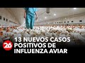 ARGENTINA | Ya suman 59 casos y 700.000 aves muertas en Argentina por la gripe aviar