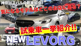 【レヴォーグ】神奈川スバル 新型レヴォーグ 試乗車一挙紹介！