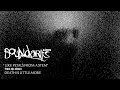 Boundaries - Like Petals From A Stem (Official Audio)