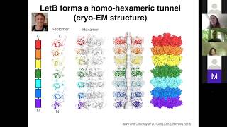 LRD Seminar Series, June 12th 2020: Lipids in transmembrane protein structure