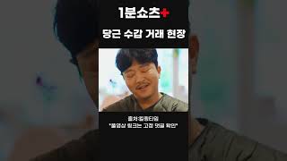 당근에 수갑을 올려놨는데.. #킬링타임 #수갑