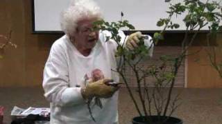 Rose Pruning by Muriel Humenick