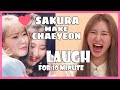 IZONE Ships EP3 - CHAEKURA / SAKURA Make CHAEYEON Laugh for 10 Minute / 채쿠라 사쿠라 이채연 아이즈원  アイズワン, 채쿠라