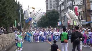 南越谷阿波踊り  フィナーレ流し総踊り／県道足立越谷線（綾瀬川右岸）／草加ふささら祭り 踊るん♪よさこい2018