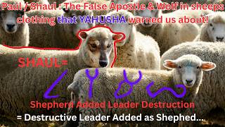Paul : A False Apostle & Wolf In Sheeps Clothing