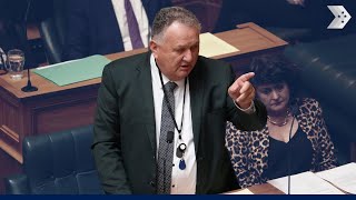 Shane Jones: What kind of person would ban New Zealand's Oil and Gas? A fool dressed in Green