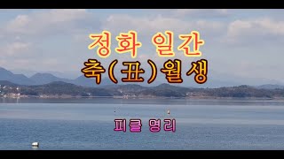 십간론 114 🌈 정화 일간 축(丑)월생 = 피클의 행복한 명리